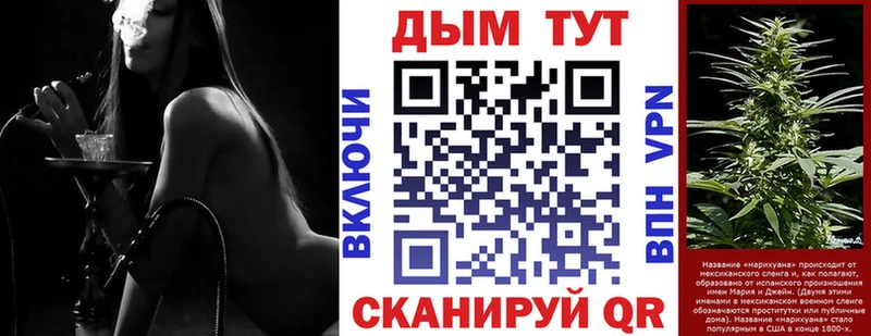 Купить где Дегтярск Канабис VHQ